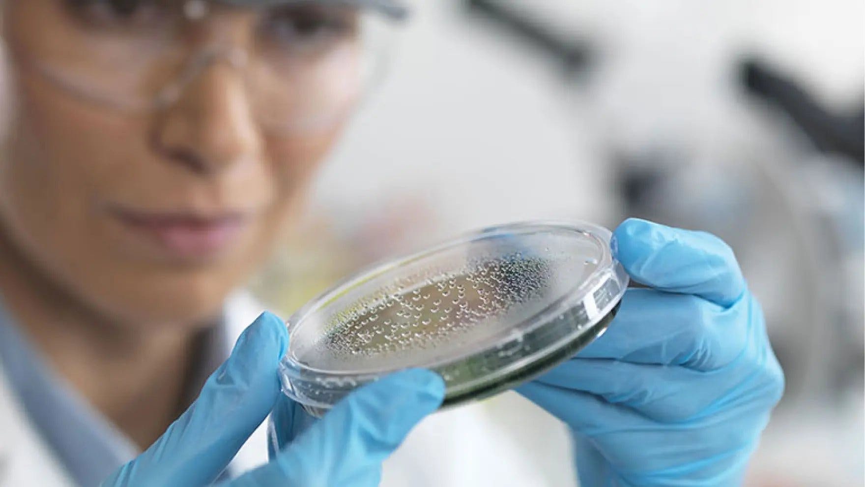 Científica mira una placa de Petri
